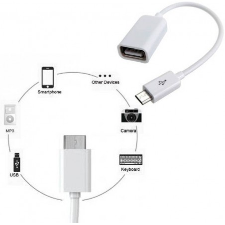 Adaptateur Micro Usb OTG Blanc