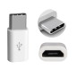 Adaptateur Micro USB vers Type-c Blanc Adaptateur Micro USB vers Type-c Blanc