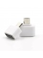 Adaptateur Convertisseur USB FEMELLE - MICRO USB MALE OTG (sans câble)