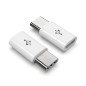 2x Adaptateurs Micro USB vers Type-c Blanc 2x Adaptateurs Micro USB vers Type-c Blanc