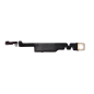 Nappe Antenne Bluetooth iPhone 7 Plus Nappe Antenne Bluetooth iPhone 7 Plus