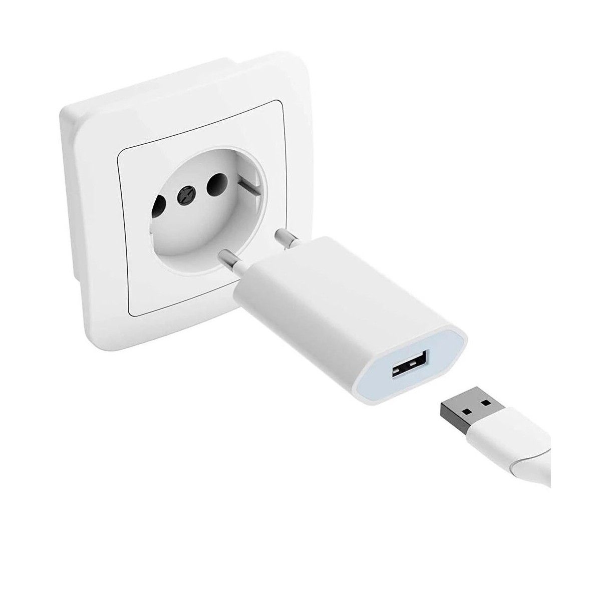 Chargeur Secteur USB compatible avec iPhone