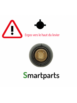 Levier de Vitesse 6 Pommeau compatible CITROEN Peugeot RCZ 3008 407 5008 807