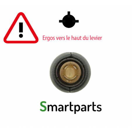 Levier de Vitesse 6 Pommeau compatible CITROEN Peugeot RCZ 3008 407 5008 807