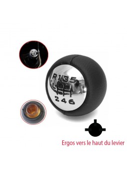 Levier de Vitesse 6 Pommeau compatible CITROEN Peugeot RCZ 3008 407 5008 807