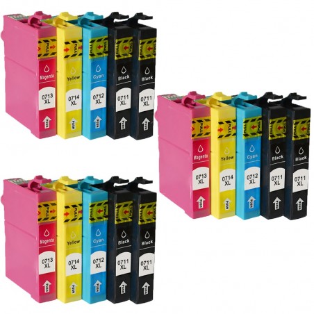 15 Cartouches compatibles EPSON T7015 (Série Guépard)