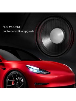 Câble d'activation Audio intérieur premium - Tesla Model 3 2021 sans chrome