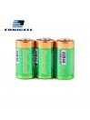 Lot de 10 Piles Alcaline 4LR44 4AG13 6V Eunicell