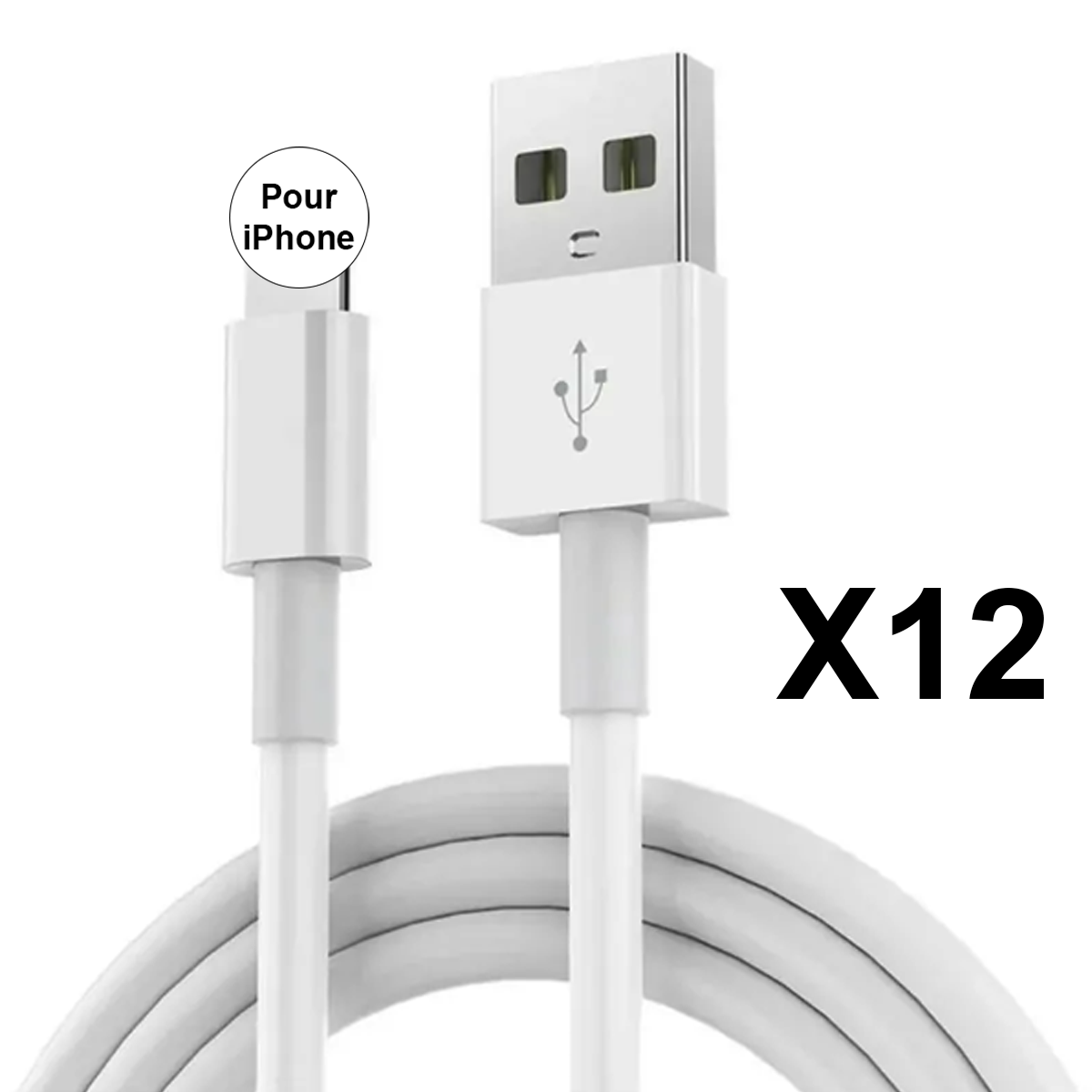 LOT DE 12 CABLES COMPATIBLES AVEC IPHONE 14 13 12 11 X XS XSMAX XR 5 S 6 7 8