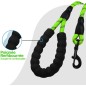 Laisse vert pour Chien en Nylon Réglable Solide de Haute Qualité Réfléchissant 1,5 m Corde Grands ou Moyens Chiens