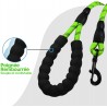 Laisse vert pour Chien en Nylon Réglable Solide de Haute Qualité Ré...
