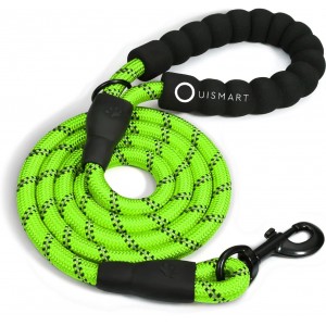 Laisse vert pour Chien en Nylon Réglable Solide de Haute Qualité Ré...