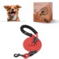 Laisse rouge pour Chien en Nylon Réglable Solide de Haute Qualité Réfléchissant 1,5 m Corde Grands ou Moyens Chiens